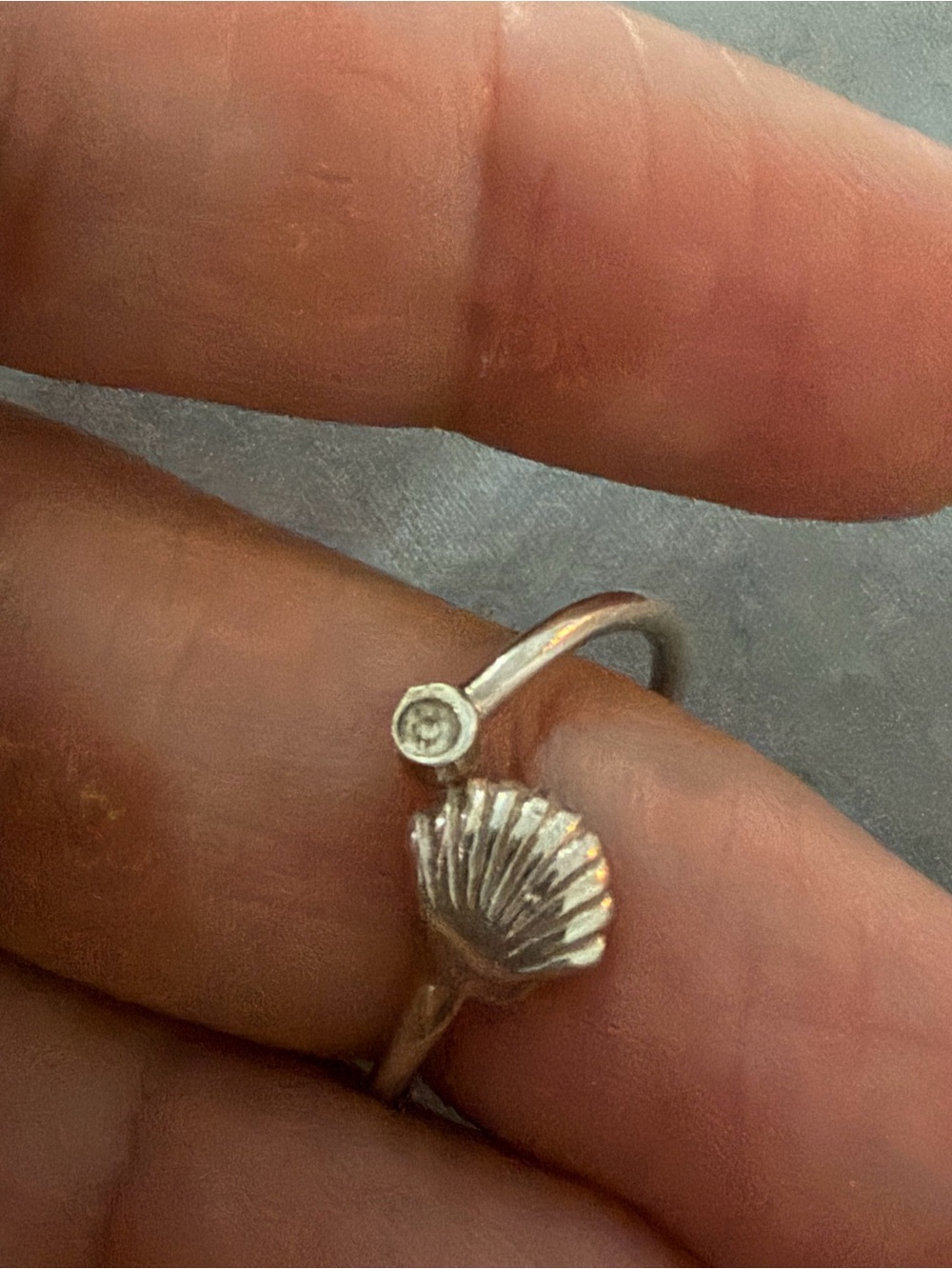 Sterling Silver Shell Open Ring in Silver